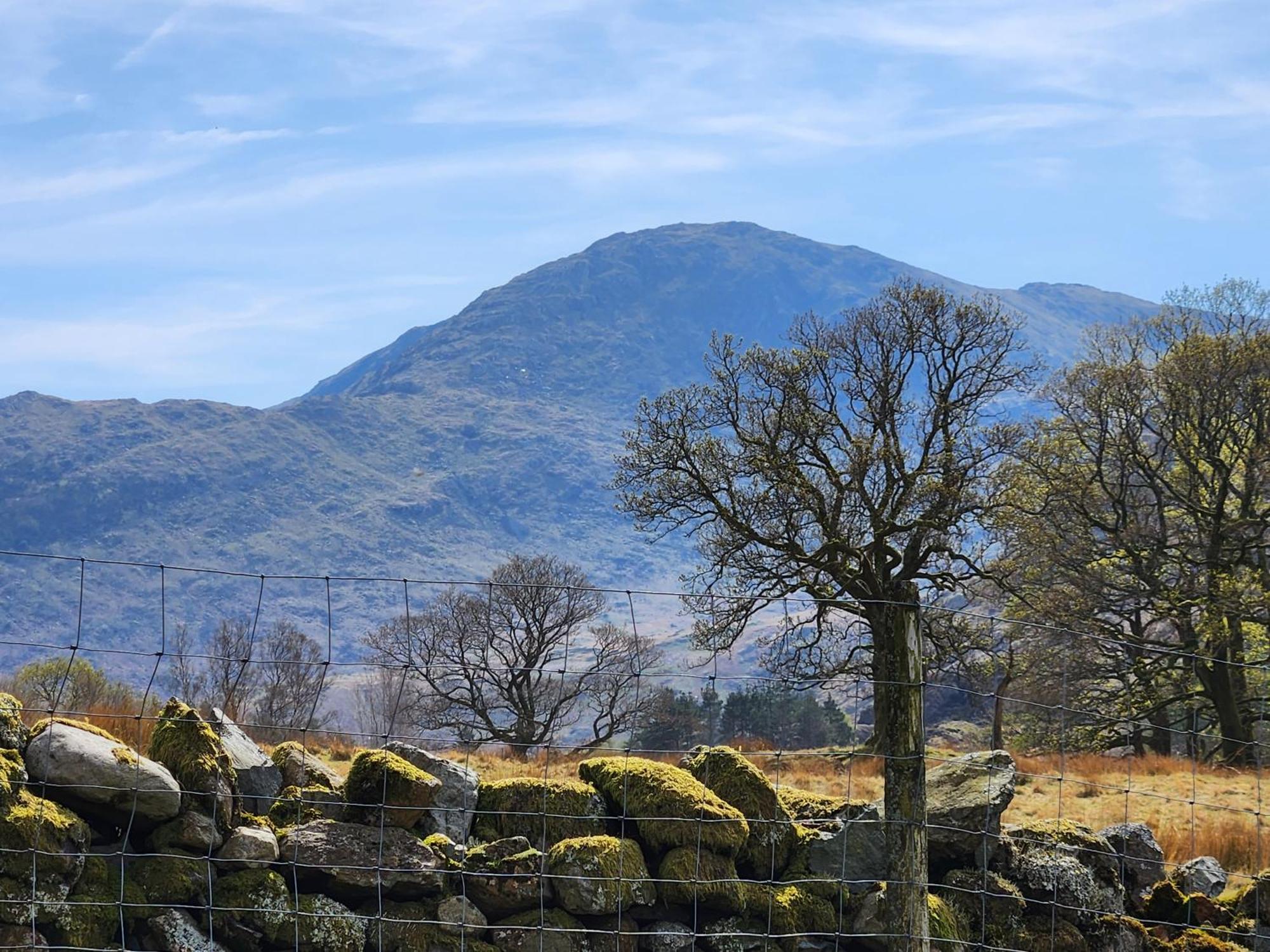 Blea Tarn Farmhouse B&B Ambleside Exterior photo